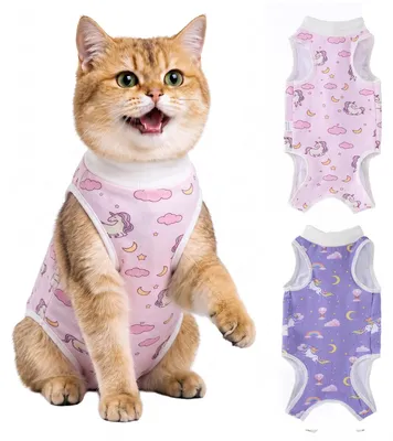 Imagen del producto de 2 bodies para gatos, diseñados para la recuperación después de la esterilización, talla L