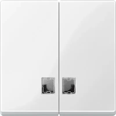 Produktbild von Merten Wippe Symbol Fenster pws 438519