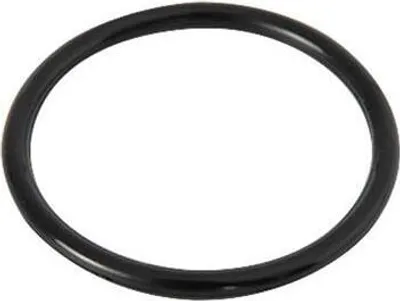 A black O-ring on a white background.