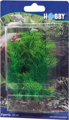 Produktbild von Hobby Egeria, 13 cm - künstliche Aquariumpflanze
