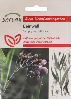 Zdjęcie produktu dla SAFLAX - Żywokost - 15 Nasiona - Symphytum officinale