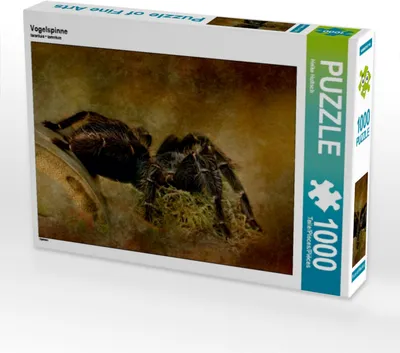 Produktbild von Calvendo Vogelspinne 1000 Teile Puzzle quer 640x480mm, Hultsch Heike; 7288153