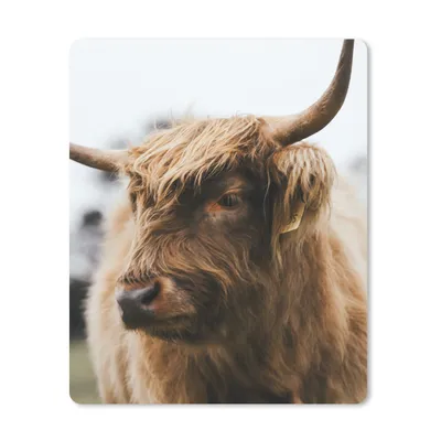 Produktbild von MuchoWow® Mauspad Mousepad Schottischer Highlander - Tiere - Hörner 30x40 cm - Mousepads - Maus Mat - Pad - Mausunterlage - Mausmatten