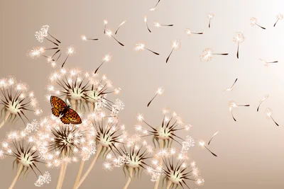 Produktbild von Fototapete - Dandelions and Butterfly 375x250cm - Vliestapete