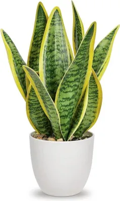 Produktbild von Kunstliche Pflanze Keramiktopf klein 33cm Büroroom Deko