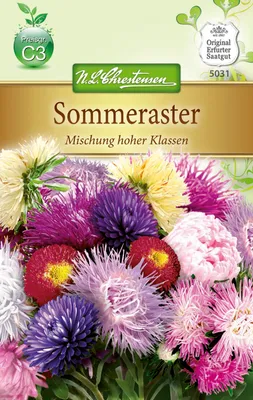 Artikelbild 1 von 'Sommeraster Hohe Mischung' aus der Kategorie Asternsamen