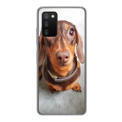 Produktbild von MuchoWow® Handyhülle Schutzhülle Hülle für Samsung Galaxy A03s Nahaufnahme des Kopfes eines Dackels Silikon Softcase Handy Hülle - Schutz