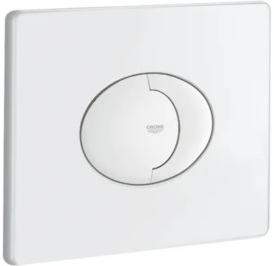 A white toilet flush plate with a silver dual-flush button.