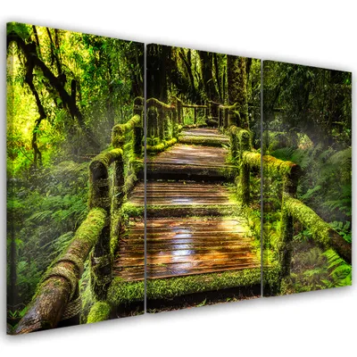 Produktbild von Triptychon auf leinwand landschaften - grün 60x40 cm Feeby grün wandbild bereit zum aufhängen
