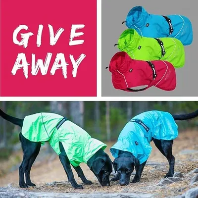Produktbild von RukkaPets Hase Raincoat - Farbe: Turquoise, Größe: Größe 50