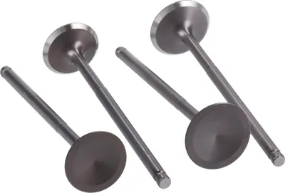 Obrázek produktu pro Cylinder Head Valves