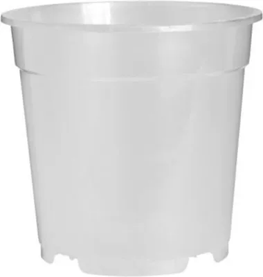Produktbild von Topf Orchidee 12cm Transparent - Florus