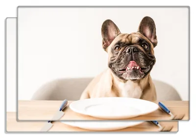 Produktbild von Wallario Frühstücksbrettchen 2er Set aus Glas, je 20 x 30 cm, mit rutschfesten Füßen, Motiv Hund freut sich auf Essen