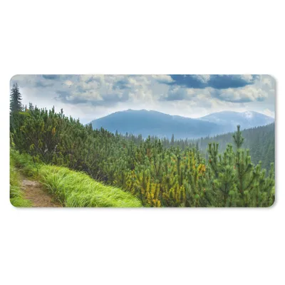 Produktbild von MuchoWow® Schreibtischunterlage Wald - Pfad - Berg 80x40 cm - XXL Mauspad - Gaming Mauspad