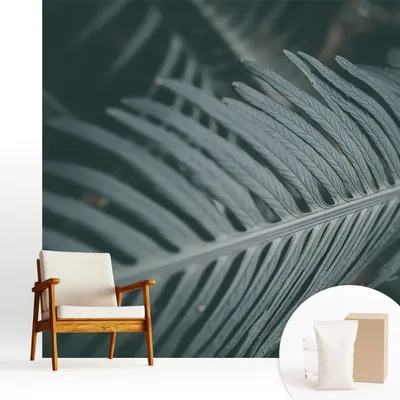Zdjęcie produktu dla Fototapeta samoprzylepna – 250 x 250 cm – tapeta – tapeta ścienna – obrazy ścienne – folia samoprzylepna – folia dekoracyjna – tapeta foliowa – ściana – dekoracja – salon – zielony liść