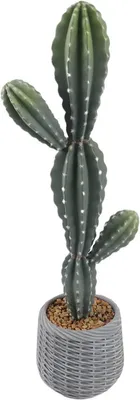 Productafbeelding van Kunstcactus, 88 cm - Decoratieve kunstplant voor binnen, geschikt voor woonkamer, kantoor en veranda
