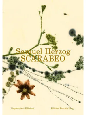 Obrázek produktu pro Scarabeo (IT)