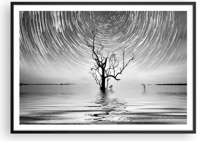Produktbild von Gerahmtes Poster - Schwarzer Rahmen - Schwarzweiß Baum See - 100x70 cm - Wand Bild - Wanddeko - Wandbilder - Kunstposter - Wandposter - Bilderrahmen - Bilder - Kunstdruck - Wandbild - P2BAA100x70-4253