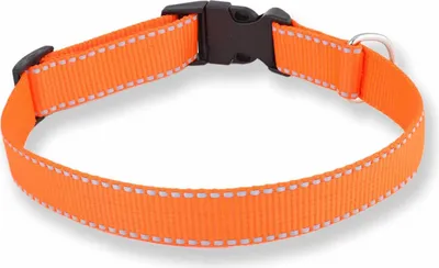Produktbild von Monkimau Hundehalsband Große Hunde Leuchtend aus Nylon