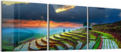 Produktbild von DEQORI Glasbild Echtglas 3x50x50 cm 'Reisterrassenfelder' Wandbilder XXL groß