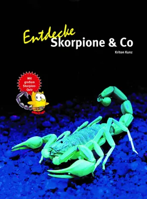 Produktbild von Entdecke die Skorpione