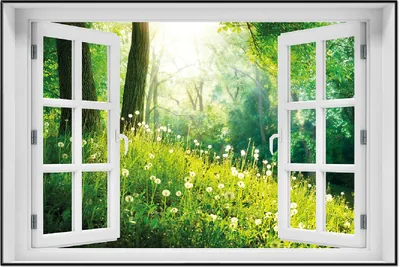 Produktbild von Wallario Wandbild mit Fenster-Illusion: Pusteblumen im Wald mit einfallenden Sonnenstrahlen, Größe: 61 x 91,5 cm, Poster mit schwarzem Aluminiumrahmen