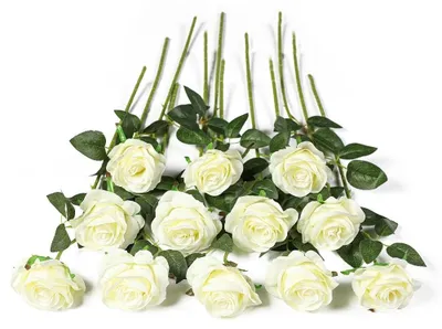Künstliche Rosen aus Seide, 12 Stück, 50 cm, weiß