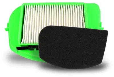 Ersatzfilter kompatibel mit Rowenta RO5342EA, 1 Stück