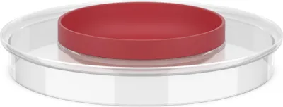 Produktbild von Mepal - Spritzschutzdeckel Chef it - 250 ml - Coral