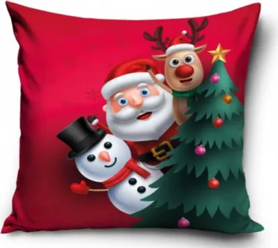 Produktbild von Weihnachts-Kissenbezug Nicholas, 40/40cm, PNL237028