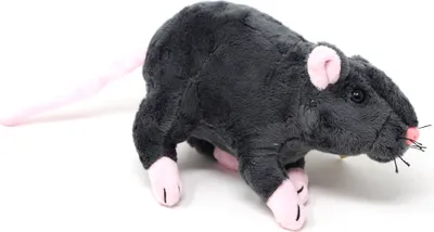 A plush toy rat on a white background.