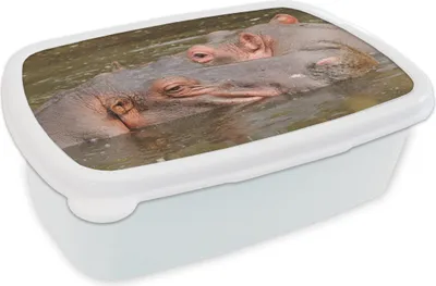 Obrázok produktu pre KitchenYeah® Lunchbox Obedový box 17x11 cm hroch - voda - príroda detský obedový box - obedový box - deti - sendvičový box - školský box - obedové boxy