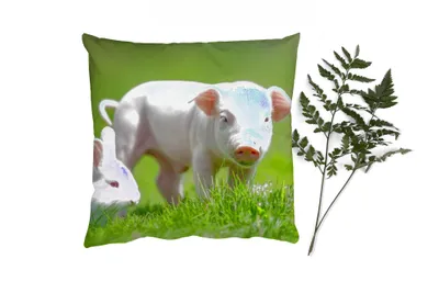 Produktbild von MuchoWow® Zierkissen Sofakissen Wohnzimmer Dekokissen 40x40 cm Ferkel - Kaninchen - Tiere - Foto Kissen - Schlafzimmer Dekoration