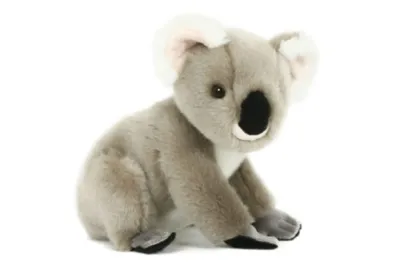 Produktbild von SEMO Koala klein 29cm Premium Edition