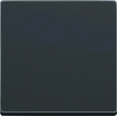 Immagine prodotto di Busch-Jaeger interruttore a bilanciere, vari programmi di superficie, antracite, 1 pz.