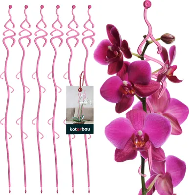 Produktbild von KOTARBAU® 6er Set Pflanzenstütze Rosa PVC 55 cm Tannenbaum Blumenstütze Rankhilfe Zimmerpflanzen Blumenstütze Garten Orchideenstab Stützstab Pflanzen dekorative Pflanzenhalter Zimmerpflanzen Rankstäbe