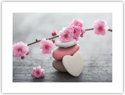 Produktbild von Poster - Poster ohne Rahmen - Yoga weiblich Blume Gesundheit - 40x30 cm - Wand Bild - Wanddeko - Wandbilder - Kunstposter - Wandposter - Bilder - Kunstdruck - Wandbild - P2XAA40x30-3178