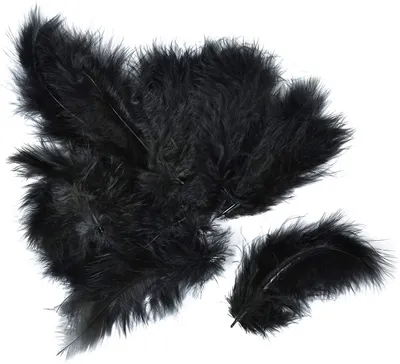 Immagine prodotto di Piume Meyco Marabu in nero 17 pezzi lunghi circa 10-12 cm