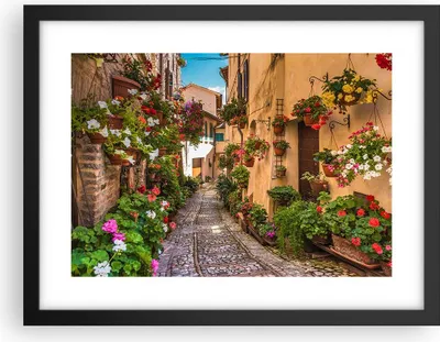 Produktbild von Gerahmtes Poster - Schwarzer Rahmen - Path Blumen Haus Hof - 40x30 cm - Wand Bild - Wanddeko - Wandbilder - Kunstposter - Wandposter - Bilderrahmen - Bilder - Kunstdruck - Wandbild - P2BAA40x30-3183