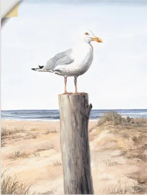 Produktbild von ARTland Wandbild, selbstklebend Möwe Größe: 45x60 cm