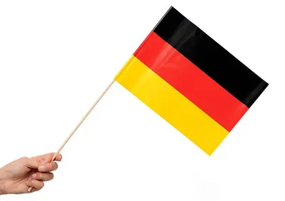 Produktbild von Deutschland 10 Papier Flaggen Fähnchen mit Holzstab 50cm