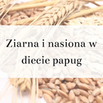 Obrázek produktu pro Průvodce papoušky - ZRNINY V JÍDELNÍČKU PAPOUŠKŮ