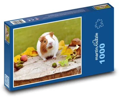 Produktbild von Puzzle 1000 Meerschweinchen auf einem Herbststumpf - martinpuzzle