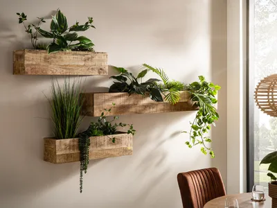 Produktbild von Blumenkasten 2er Set