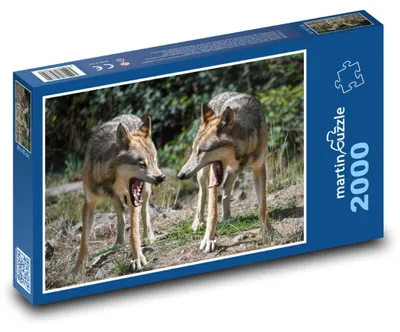 Obrázok produktu pre martinpuzzle - Puzzle 2000 - Rozzúrení vlci