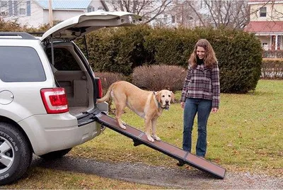 Produktbild von Famanu Hundetreppe - Antirutsch, klappbar, mit Handgriff