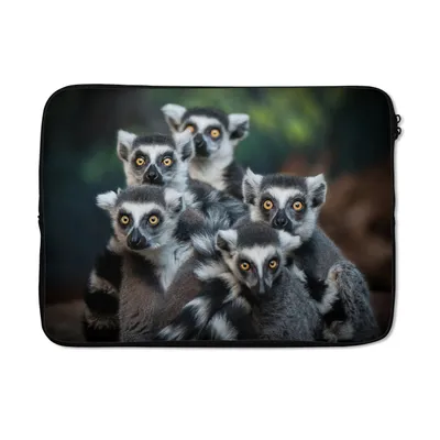 Produktbild von MuchoWow® Laptop Hülle 14 ZollAffen - Tiere - Ringelschwanzlemuren Laptoptasche - Laptoptasche - Stoßsicher - Schutzhaube