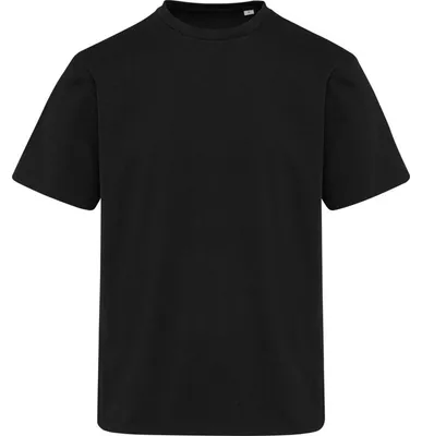 Produktbild von Elevate - "Lucas" T-Shirt für Herren/Damen Uni, Baumwolle aus biologischem Anbau, Übergroß PF5067 (XS) (Schwarz)