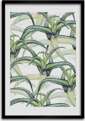 Produktbild von Bild - Bilderrahmen - Foto - 70 cm x 100 cm - MDF - Rahmen - Wandkunst - Aloe