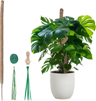 Obrázok produktu pre Moosstab z kokosových vlákien, 120 cm, priemer 4 cm, flexibilná pomôcka na lezenie pre izbové rastliny